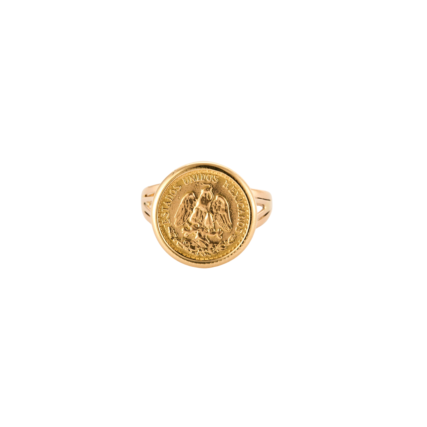 Agrandir